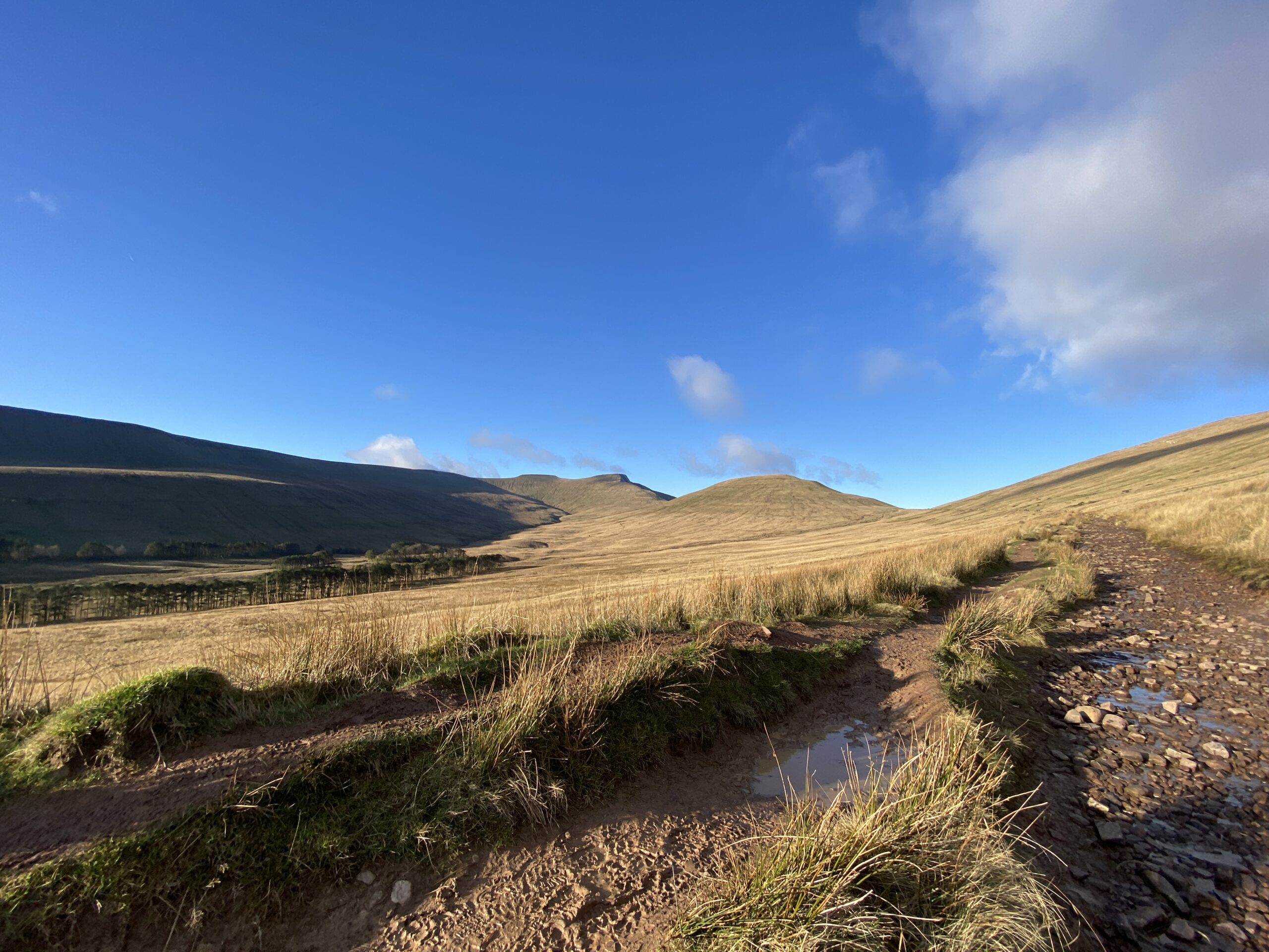 Stride Up: A Walking Journey from Canal Paths to Mountain Peaks